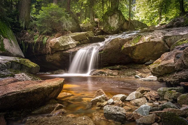 Nuestros acufenos necesitan la tranquilidad de este rio